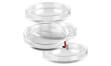 Set Klavier Untersetzer transparent